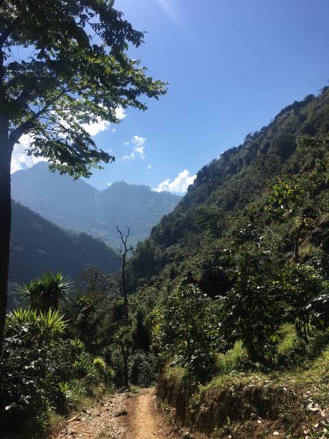 kawa z Gwatemali mała torebka